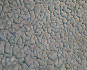 Desert Cracks